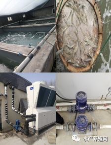 成本節(jié)省一半！沈陽(yáng)海爾中央空調(diào)為室內(nèi)養(yǎng)殖業(yè)插上“高利潤(rùn)”翅膀